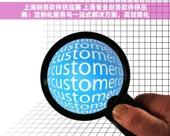 上海财务软件供应商 上海专业财务软件供应商：定制化服务与一站式解决方案，高效简化流程，满足独特需求