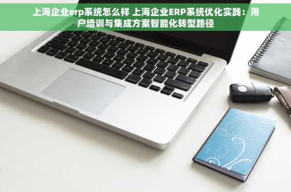 上海企业erp系统怎么样 上海企业ERP系统优化实践：用户培训与集成方案智能化转型路径
