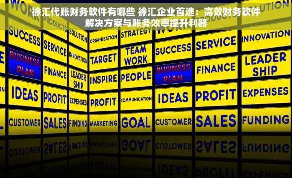 徐汇代账财务软件有哪些 徐汇企业首选：高效财务软件解决方案与账务效率提升利器