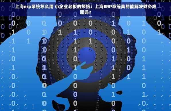 上海erp系统怎么用 小企业老板的烦恼：上海ERP系统真的能解决财务难题吗？