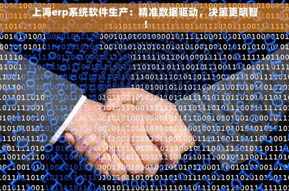 上海erp系统软件生产：精准数据驱动，决策更明智！