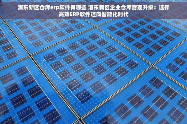 浦东新区仓库erp软件有哪些 浦东新区企业仓库管理升级：选择高效ERP软件迈向智能化时代