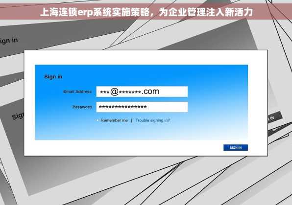 上海连锁erp系统实施策略，为企业管理注入新活力