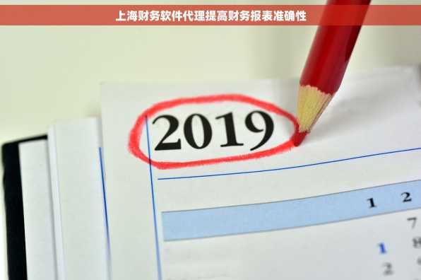上海财务软件代理提高财务报表准确性