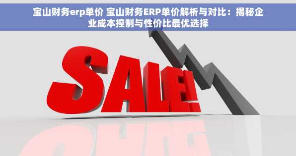 宝山财务erp单价 宝山财务ERP单价解析与对比：揭秘企业成本控制与性价比最优选择