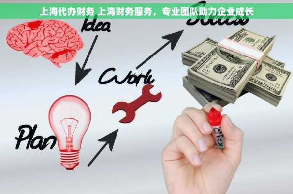 上海代办财务 上海财务服务，专业团队助力企业成长