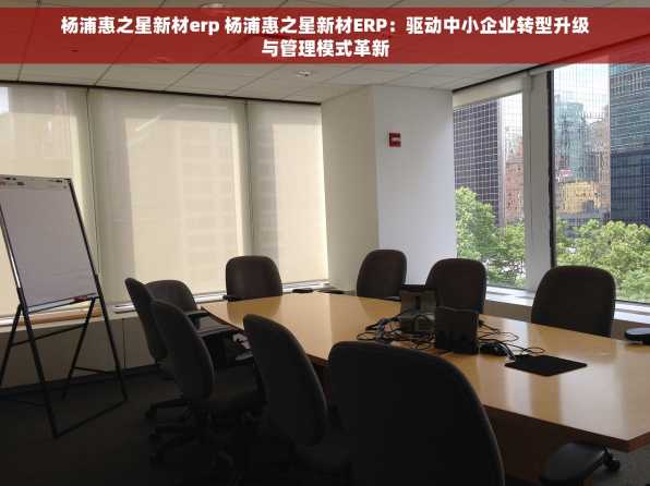 杨浦惠之星新材erp 杨浦惠之星新材ERP：驱动中小企业转型升级与管理模式革新