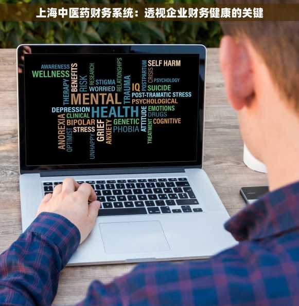 上海中医药财务系统：透视企业财务健康的关键