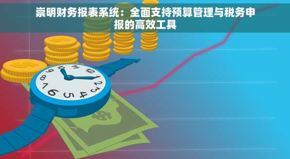 崇明财务报表系统：全面支持预算管理与税务申报的高效工具