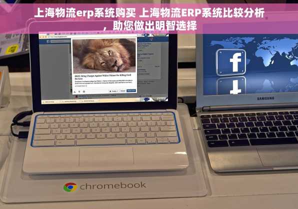 上海物流erp系统购买 上海物流ERP系统比较分析，助您做出明智选择
