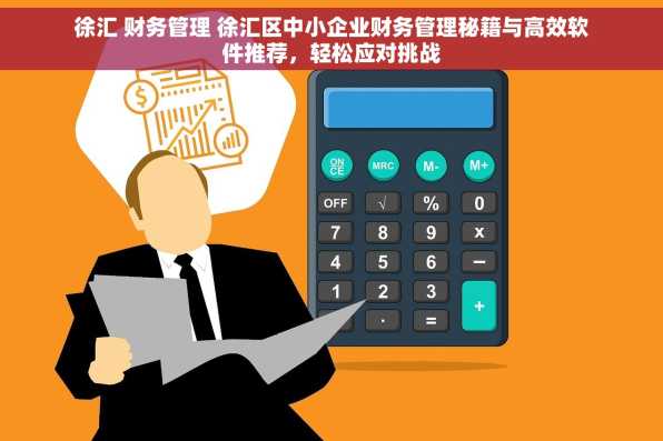 徐汇 财务管理 徐汇区中小企业财务管理秘籍与高效软件推荐，轻松应对挑战