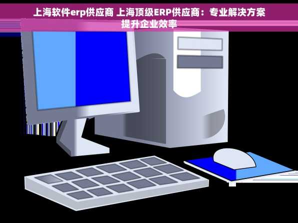 上海软件erp供应商 上海顶级ERP供应商：专业解决方案提升企业效率