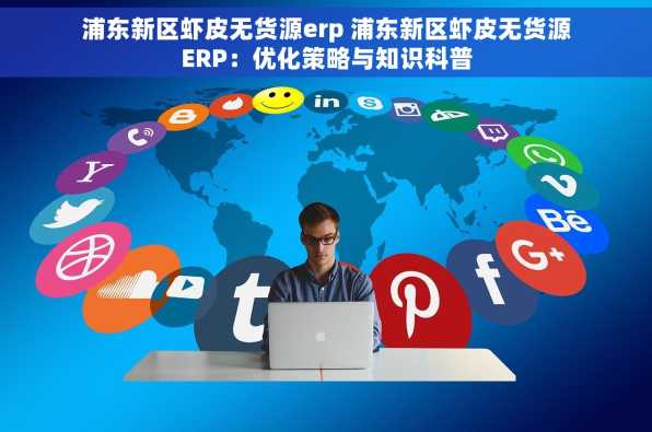 浦东新区虾皮无货源erp 浦东新区虾皮无货源ERP：优化策略与知识科普