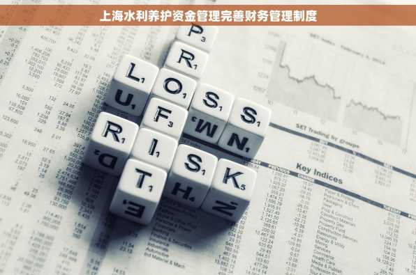 上海水利养护资金管理完善财务管理制度