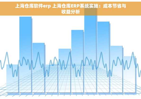上海仓库软件erp 上海仓库ERP系统实施：成本节省与收益分析