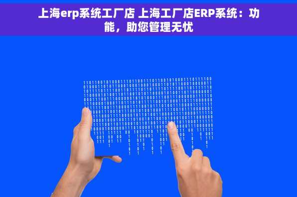 上海erp系统工厂店 上海工厂店ERP系统：功能，助您管理无忧
