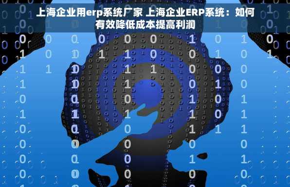 上海企业用erp系统厂家 上海企业ERP系统：如何有效降低成本提高利润