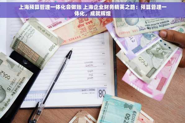 上海预算管理一体化会做账 上海企业财务精英之路：预算管理一体化，成就辉煌
