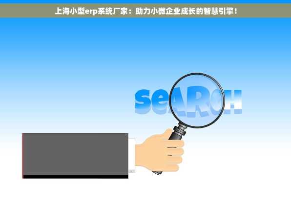 上海小型erp系统厂家：助力小微企业成长的智慧引擎！