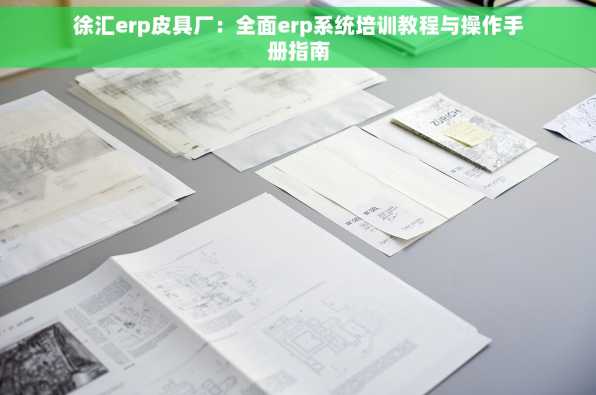 徐汇erp皮具厂：全面erp系统培训教程与操作手册指南