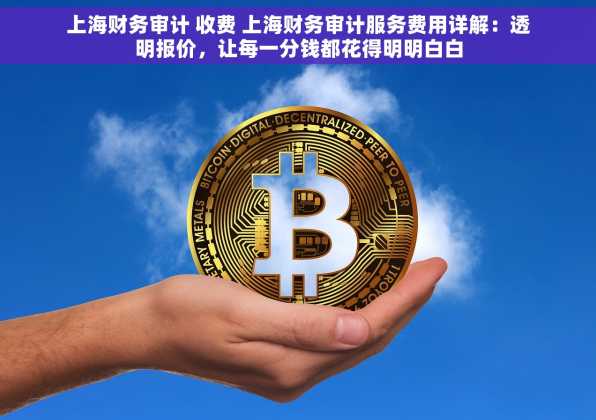 上海财务审计 收费 上海财务审计服务费用详解：透明报价，让每一分钱都花得明明白白