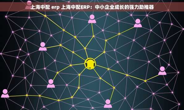 上海中配 erp 上海中配ERP：中小企业成长的强力助推器