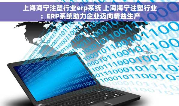 上海海宁注塑行业erp系统 上海海宁注塑行业：ERP系统助力企业迈向精益生产