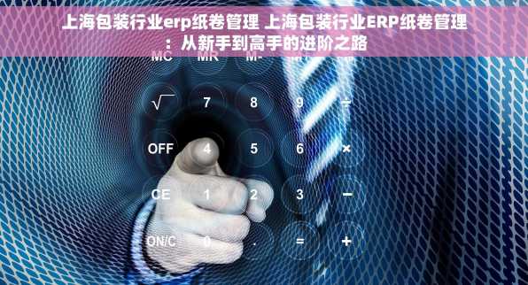 上海包装行业erp纸卷管理 上海包装行业ERP纸卷管理：从新手到高手的进阶之路