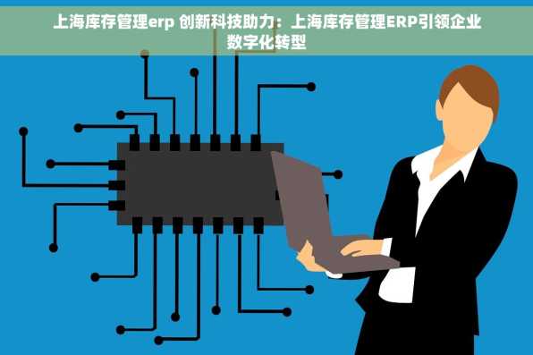 上海库存管理erp 创新科技助力：上海库存管理ERP引领企业数字化转型