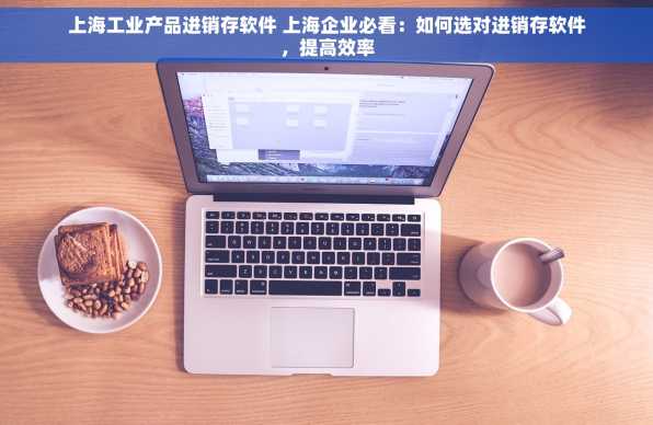 上海工业产品进销存软件 上海企业必看：如何选对进销存软件，提高效率