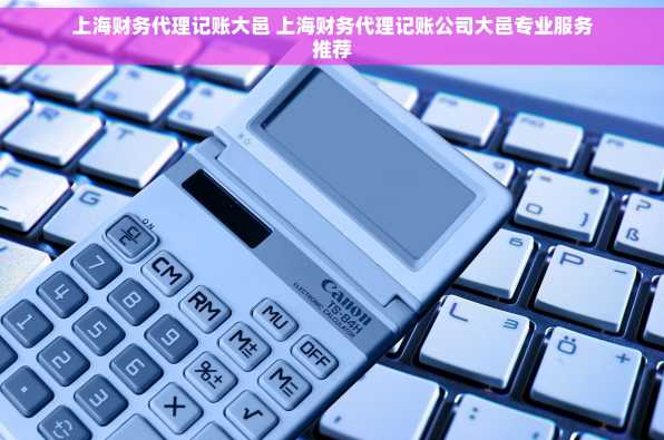 上海财务代理记账大邑 上海财务代理记账公司大邑专业服务推荐