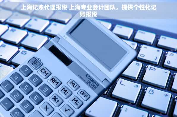 上海记账代理报税 上海专业会计团队，提供个性化记账报税
