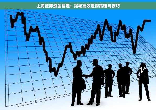 上海证券资金管理：揭秘高效理财策略与技巧