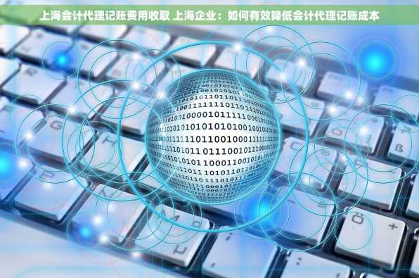 上海会计代理记账费用收取 上海企业：如何有效降低会计代理记账成本