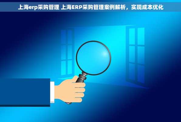 上海erp采购管理 上海ERP采购管理案例解析，实现成本优化