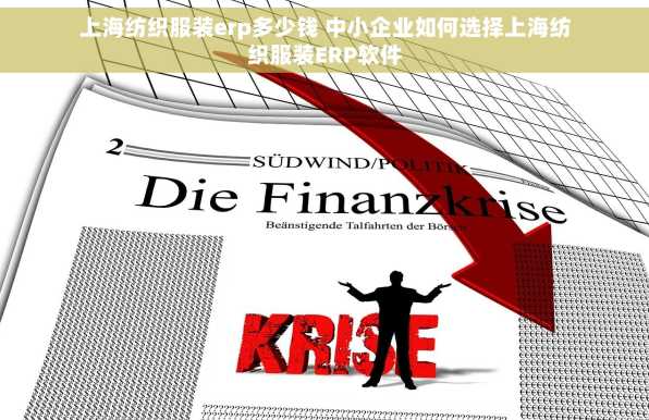 上海纺织服装erp多少钱 中小企业如何选择上海纺织服装ERP软件