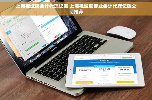 上海禅城区会计代理记账 上海禅城区专业会计代理记账公司推荐