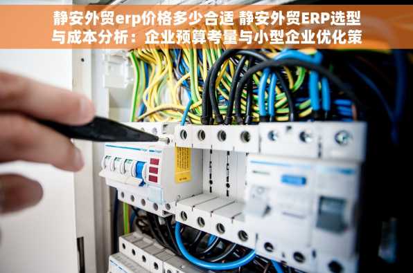 静安外贸erp价格多少合适 静安外贸ERP选型与成本分析：企业预算考量与小型企业优化策略