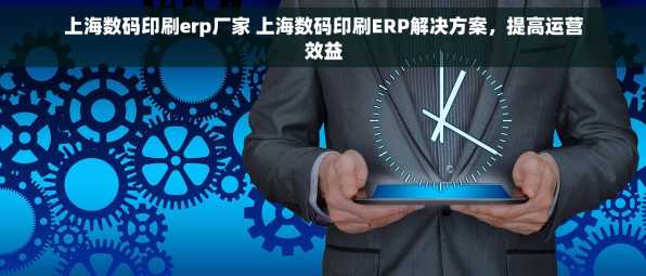 上海数码印刷erp厂家 上海数码印刷ERP解决方案，提高运营效益