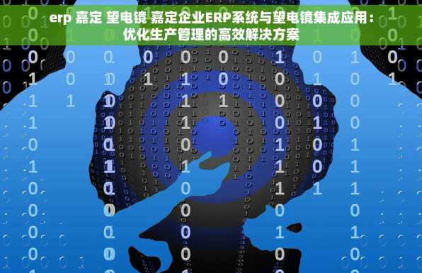 erp 嘉定 望电镜 嘉定企业ERP系统与望电镜集成应用：优化生产管理的高效解决方案