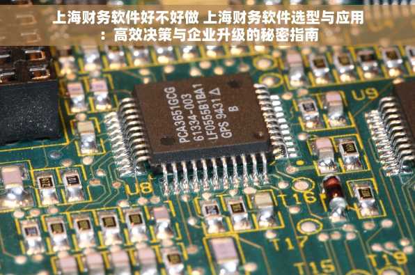 上海财务软件好不好做 上海财务软件选型与应用：高效决策与企业升级的秘密指南