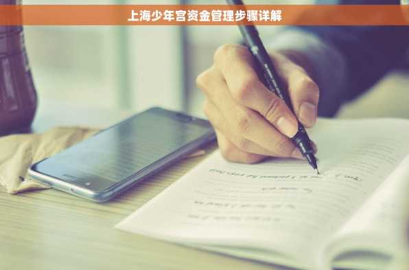 上海少年宫资金管理步骤详解