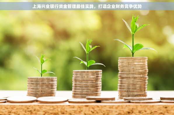 上海兴业银行资金管理最佳实践，打造企业财务竞争优势