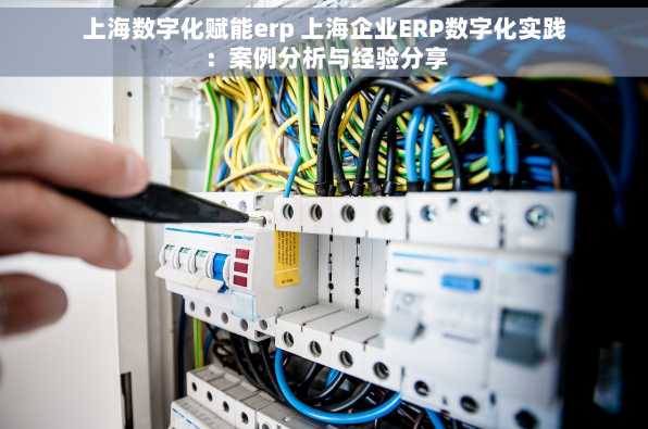 上海数字化赋能erp 上海企业ERP数字化实践：案例分析与经验分享