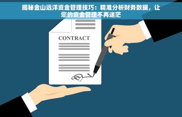 揭秘金山远洋资金管理技巧：精准分析财务数据，让您的资金管理不再迷茫