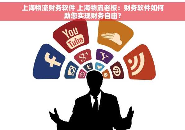 上海物流财务软件 上海物流老板：财务软件如何助您实现财务自由？