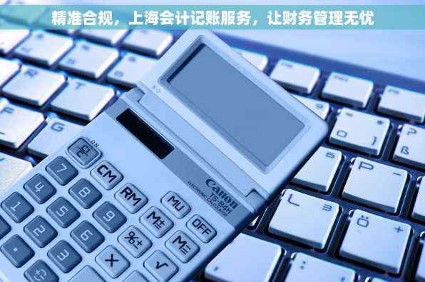 精准合规，上海会计记账服务，让财务管理无忧