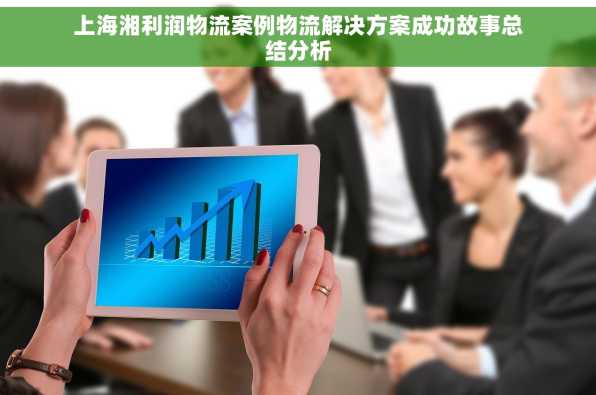 上海湘利润物流案例物流解决方案成功故事总结分析