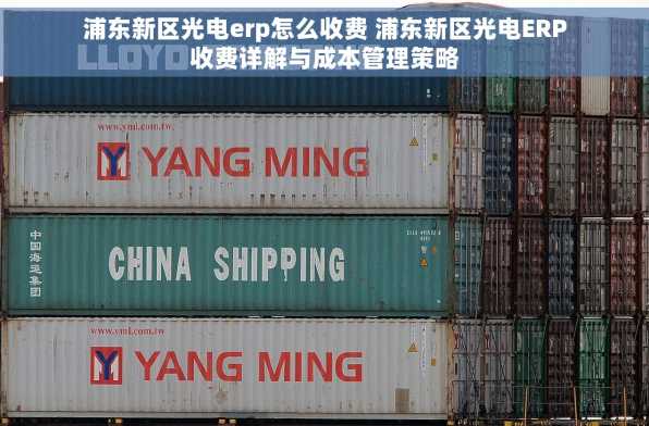 浦东新区光电erp怎么收费 浦东新区光电ERP收费详解与成本管理策略