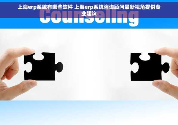 上海erp系统有哪些软件 上海erp系统咨询顾问最新视角提供专业建议